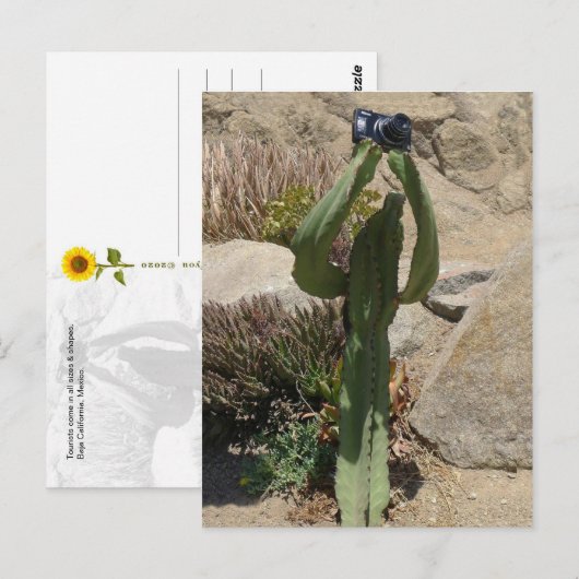 Cactus Toerist - ansichtkaart Briefkaart (Voorkant / Achterkant)