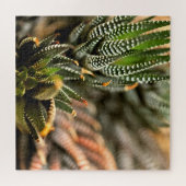 Cactus Too Legpuzzel (Horizontaal)