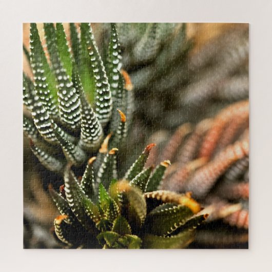 Cactus Too Legpuzzel (Verticaal)