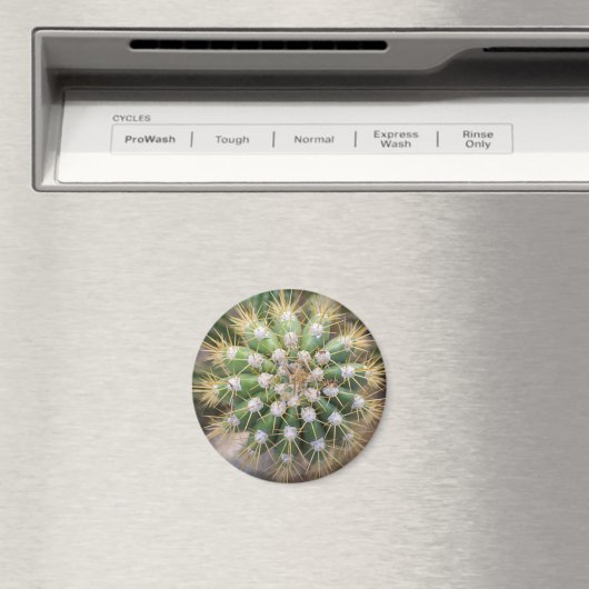 Cactus top magneet (Insitu (Vaatwasser))