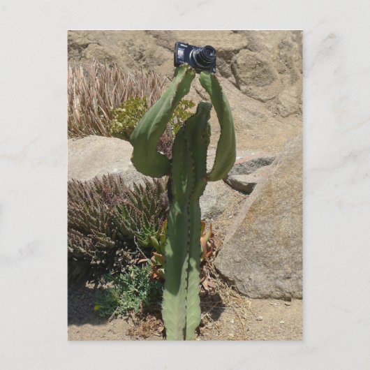 Cactus Tourist - briefkaart (Voorkant)
