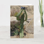 Cactus Tourist - kaart (Voorkant)