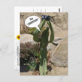 Cactus Tourist, say QUEEESO - briefkaart