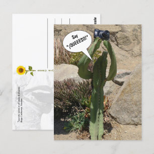 Cactus Tourist, say QUEEESO - briefkaart