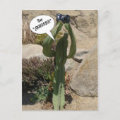 Cactus Tourist, say QUEEESO - briefkaart (Voorkant)