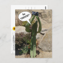 Cactus Tourist, Zeg CHEEESE - briefkaart