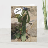 Cactus Tourist, Zeg QUEEESO - kaart (Voorkant)