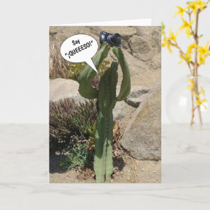 Cactus Tourist, Zeg QUEEESO - kaart