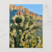 Cactus Tree Briefkaart (Voorkant)