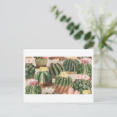 Cactus Tuin Ansichtkaart Briefkaart (Staand voorkant)