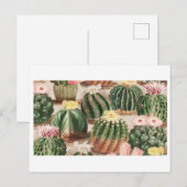 Cactus Tuin Ansichtkaart Briefkaart (Voorkant / Achterkant)