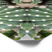 Cactus tuin poster (Hoek)