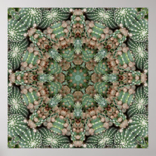 Cactus tuin poster