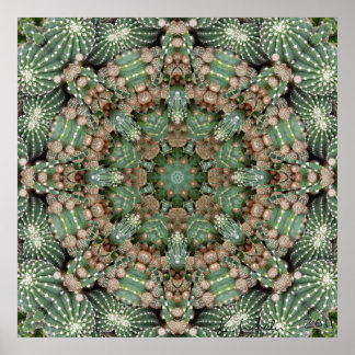 Cactus tuin poster