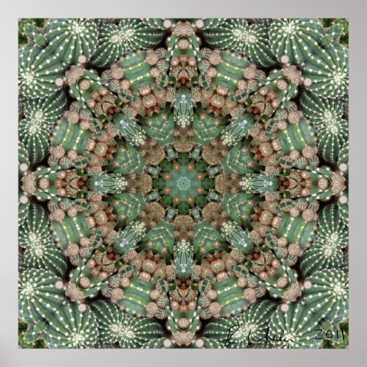 Cactus tuin poster (Voorkant)