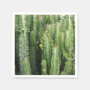 Cactus Tuin Servet
