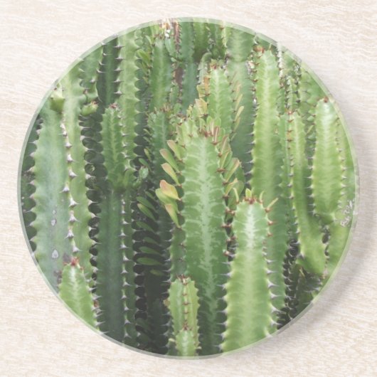 Cactus Tuin Zandsteen Onderzetter (Voorkant)