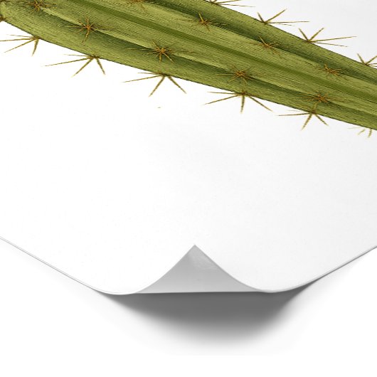 Cactus — uithoudingsvermogen poster (Hoek)