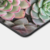 Cactus vetplanten bureaumat (Hoek)