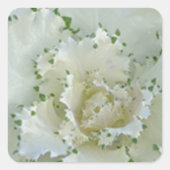 Cactus Vierkante Sticker (Voorkant)