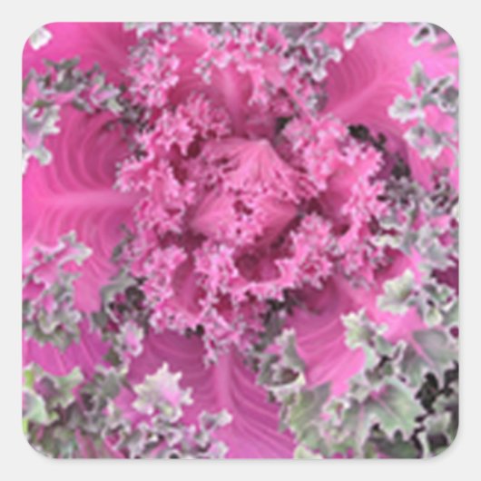 Cactus Vierkante Sticker (Voorkant)