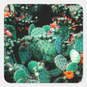 Cactus vierkante sticker (Voorkant)