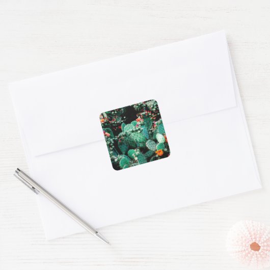 Cactus vierkante sticker (Envelop)