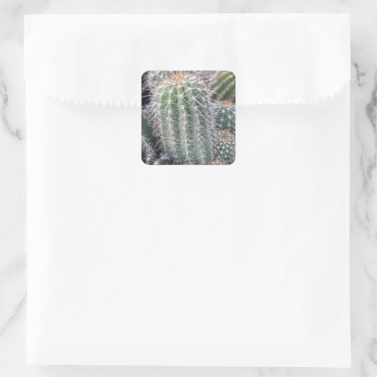 Cactus Vierkante Sticker (Tas)