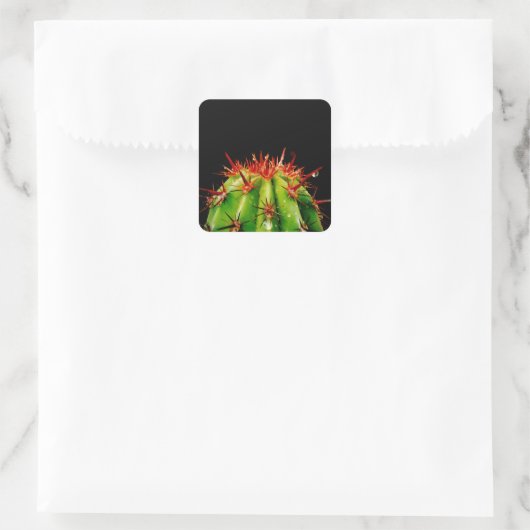 Cactus Vierkante Sticker (Tas)