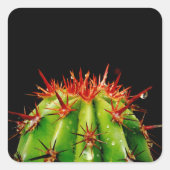 Cactus Vierkante Sticker (Voorkant)