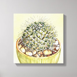 Cactus Waterverf door Debra Lee Baldwin Canvas Afdruk