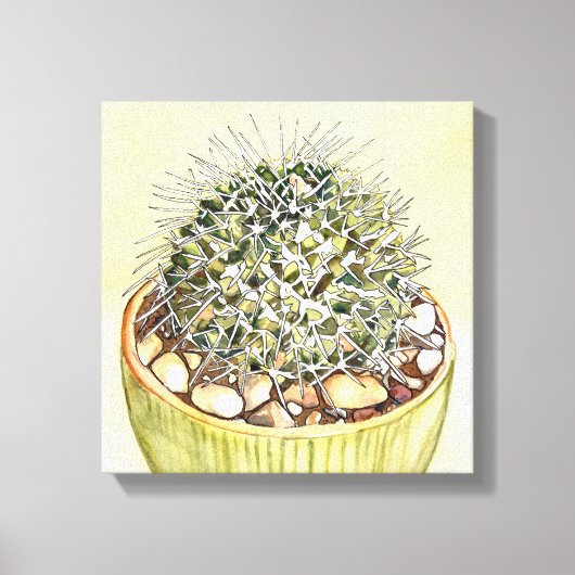 Cactus Waterverf door Debra Lee Baldwin Canvas Afdruk (Voorkant)