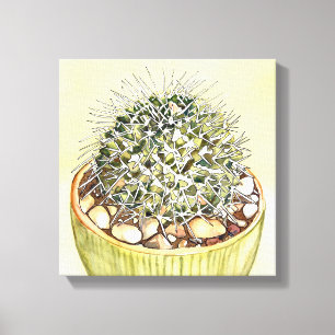 Cactus Waterverf van Debra Lee Baldwin Canvas Afdruk