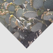 Cactus-weefselpapier Tissuepapier (Detail)