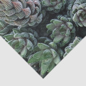 Cactus-weefselpapier Tissuepapier (Detail)