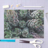 Cactus-weefselpapier Tissuepapier (Craft)