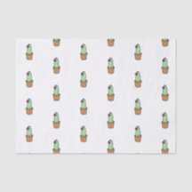 Cactus-weefselpapier