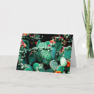 Cactus wenskaart kaart