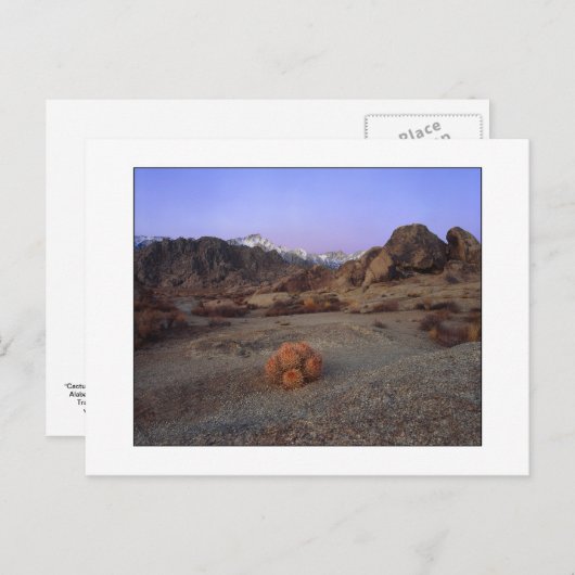 "Cactus with a Uitzicht" - Brede hoek Briefkaart (Voorkant / Achterkant)