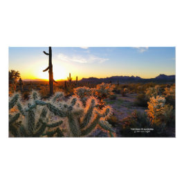 Cactus with Arizona sunset Superstiment Wilderness Foto Afdruk
