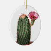 Cactus, woestijn,  botanisch, illustratie keramisch ornament (Rechts)