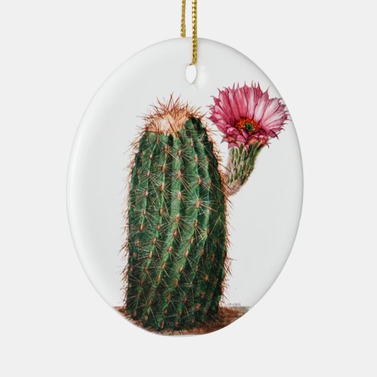 Cactus, woestijn,  botanisch, illustratie keramisch ornament (Rechts)