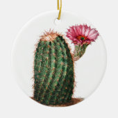 Cactus, woestijn,  botanisch, illustratie keramisch ornament (Voorkant)