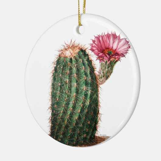 Cactus, woestijn,  botanisch, illustratie keramisch ornament (Links)