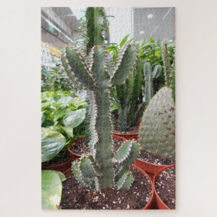 Cactus World Legpuzzel