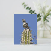 Cactus Wren Briefkaart (Staand voorkant)