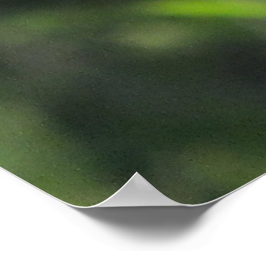 Cactus Wren op het Poster van Ocotillo (Hoek)