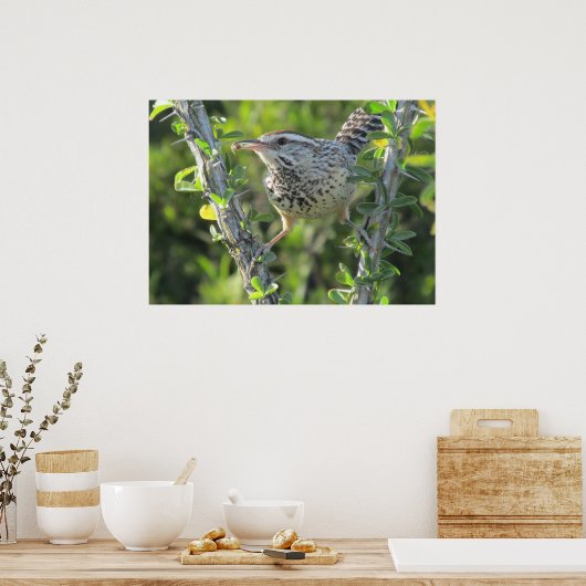 Cactus Wren op het Poster van Ocotillo (Keuken)