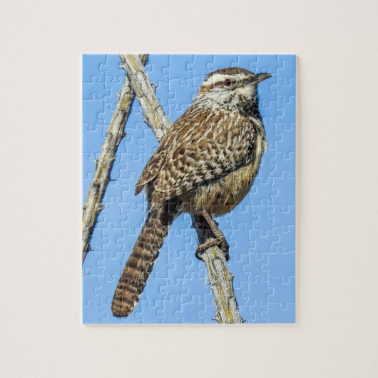 Cactus Wren Puzzle Legpuzzel (Verticaal)