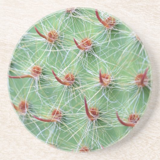 cactus zandsteen onderzetter (Voorkant)